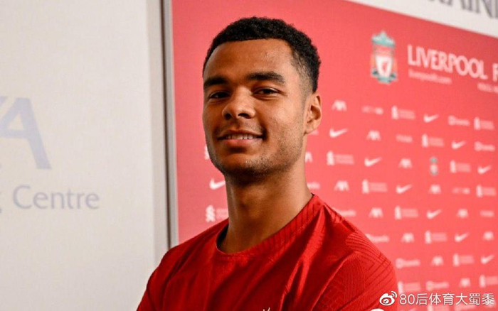 体系的成效 体系的成效