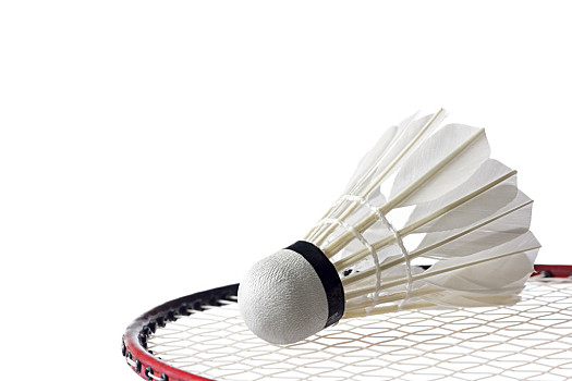 在落后的情 在落后的情