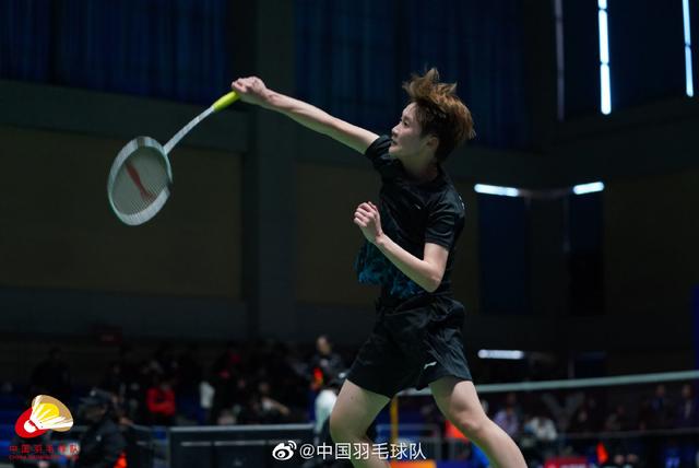 他的高性价 他的高性价