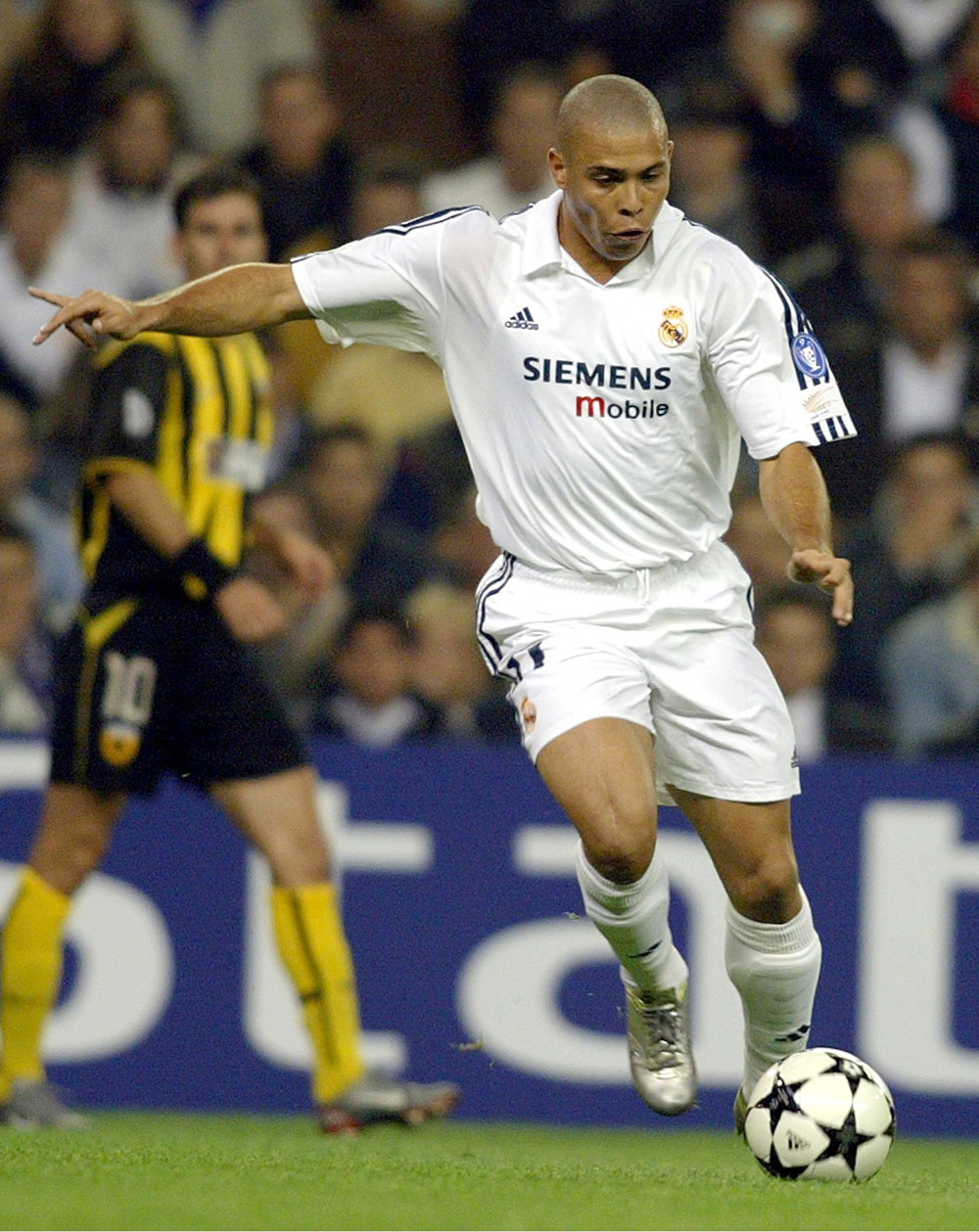 道速滑世锦 道速滑世锦